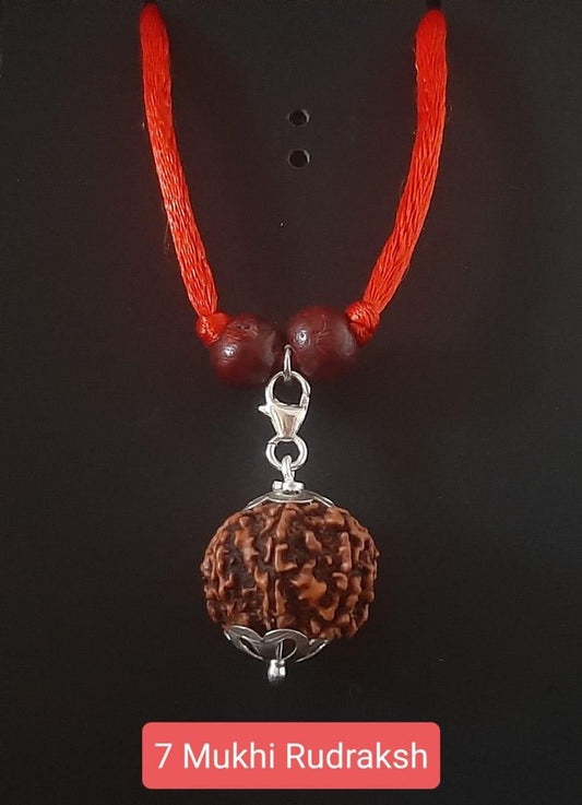 7 Mukhi Rudraksha Silver Capped Pendant